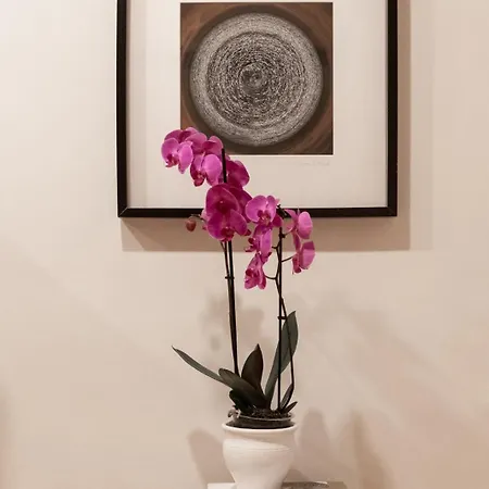 Appartamento Skylife Executive Piazza Del Popolo Roma